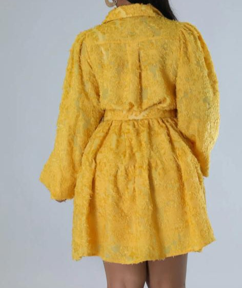 Beautiful Sunshine Yellow Ruffled Dress. Cute for Brunch/Date night/ anywhere.