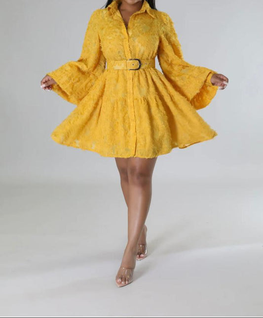 Beautiful Sunshine Yellow Ruffled Dress. Cute for Brunch/Date night/ anywhere.